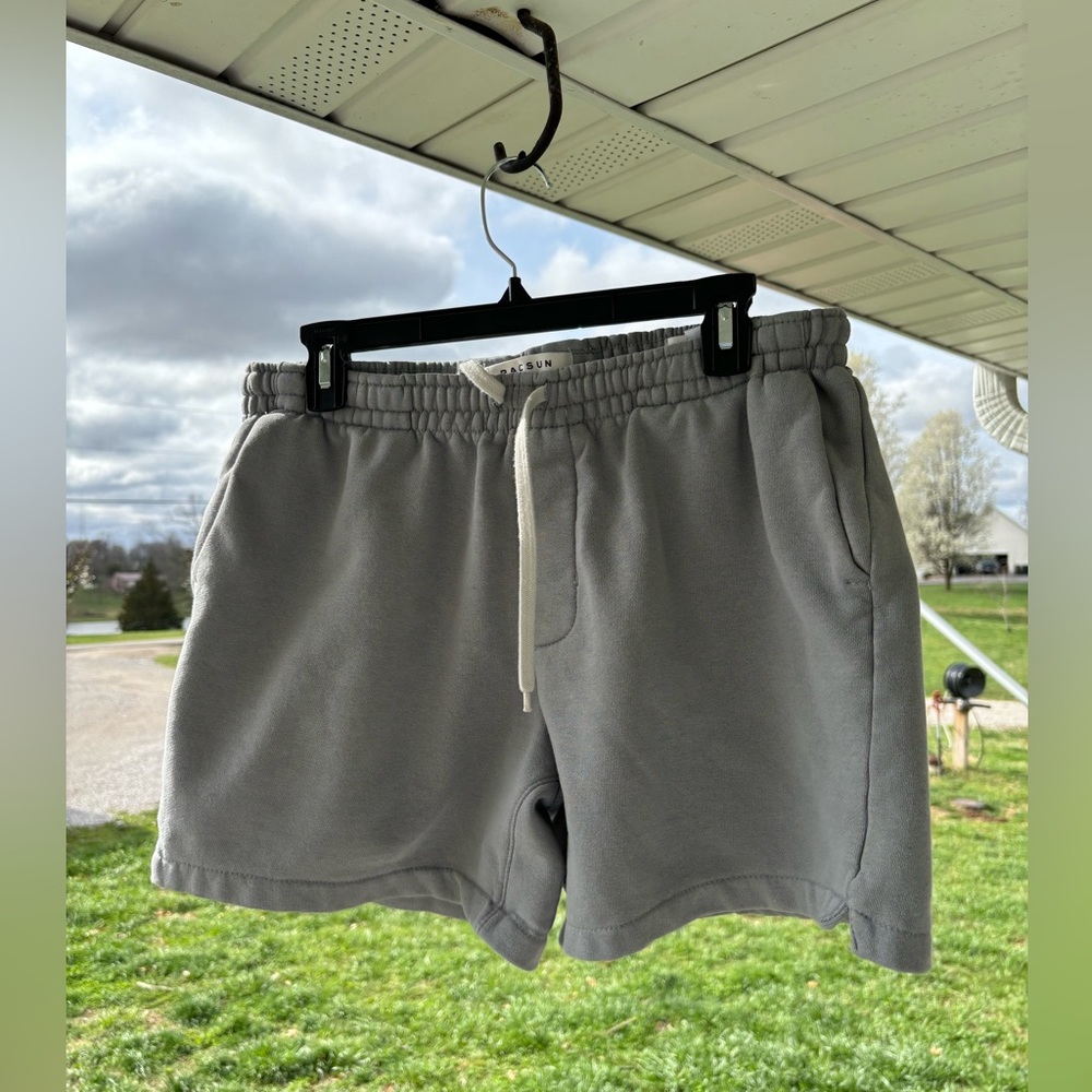 Pacsun Shorts